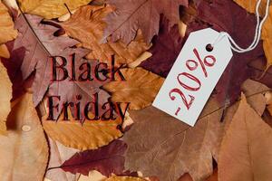 Pile of leaves with a tag that says Black Friday and 20 off photo