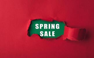 Red background with a green word that says Spring Sale photo