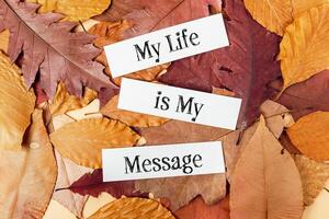 The image is a collage of autumn leaves with the words My life is my message photo