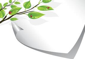 Bright green leaves with water droplets and ladybugs on a curved sheet vector