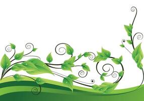 Decorative Green Vines with Leaves on White vector