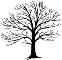 Tree silhouette with sprawling bare branches. vector