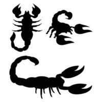 Scorpion Silhouette on a white Background vector