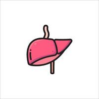 Liver icon in a line style on a white background vector