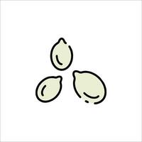 Three green peppercorns are shown on a white background vector