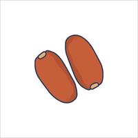 Two beans on a white background vector