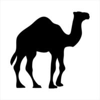 Camel. silhouette of a walking camel ,Hand-drawn illustration, vector