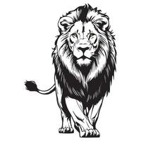 Black and white illustration of a lion vector