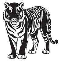 Black and white illustration of a tiger vector