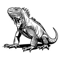 Black and white illustration of a iguana vector