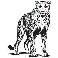 Black and white illustration of a wild cheetah vector
