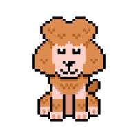 Pixel art cute poodle dog in retro style vector