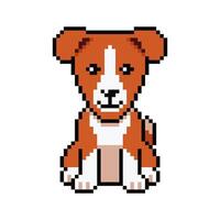 Pixel art cute basenji dog in retro style vector