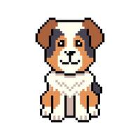 Pixel art cute australian shepherd dog in retro style vector