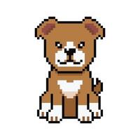 Pixel art cute pit bull terrier dog in retro style vector