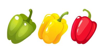 Fresh organic sweet red bell peppers in different colors isolated on white background. vector