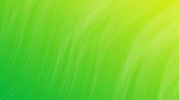 Modern colorful gradient background with wave lines vector