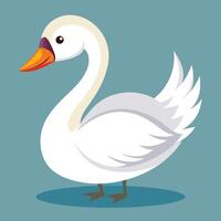 A white swan with orange beak and orange beak vector