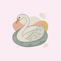 A white swan swimming in a pond vector
