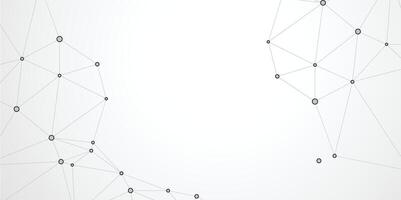 Low poly network lines vector