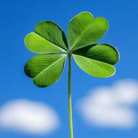 A four leaf clover against a blue sky with clouds photo