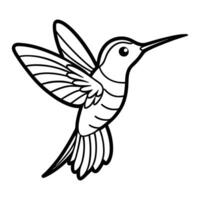 hummingbird coloring pages vector