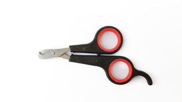 Nail clipper for cats or small dogs isolated on white background photo