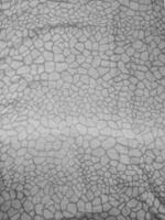 The texture, pattern and background of the grey animal skin patterned fabric photo