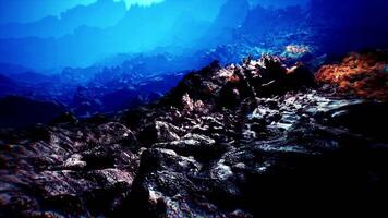 Exploring the vibrant textures of the underwater seabed during daylight video
