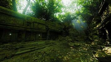Exploring ancient temples hidden in the dense jungles of Cambodia at midday video
