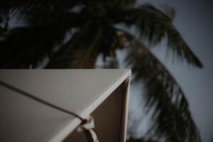 A white tent with a palm tree in the background photo