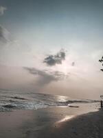 A man is standing on the beach with a tree in the background photo