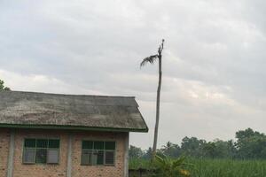 A building with a pole in front of it photo