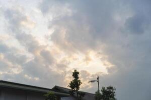 A cloudy sky with a tree in the foreground photo