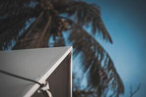 A white tent with a palm tree in the background photo