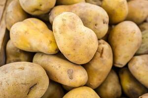 Heap of Freshly Dug Potatoes, Ready for Market Sale, Showcasing Natural Texture and Color photo