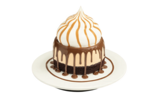 Mocha mousse baked Alaska, with a base of chocolate cake, a layer of mocha mousse, and topped with a toasted png
