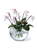 Winter Harmony , Cyclamens Snowdrops Camellias rounded vase with water shimmering like ice, holding a harmonious mix of pink png