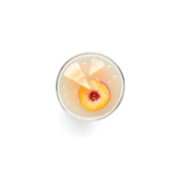 Ginger Peach Fizz - A cocktail with ginger syrup, peach puree, lime juice, and soda water, served with a slice png