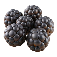 3d render do suculento Amora silvestre png