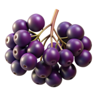 3D Illustration of a Bunch of Dark Purple Berries png