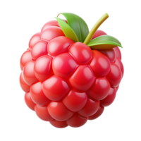 3D Render of a Single Raspberry png