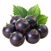 Realistic 3D Render Blackcurrants with Leaves png