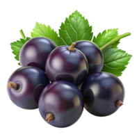 3D Render of Blackcurrants with Leaves png