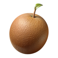 3D Render of a Textured Fruit with Sprout png