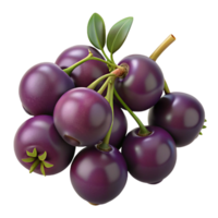 3D Render of a Bunch of Dark Purple Berries png