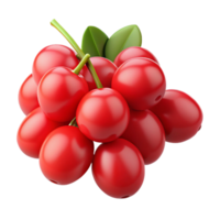 3D Render of Red Berries Cluster png