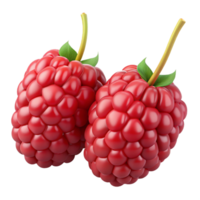 3D Render of Two Raspberries png