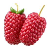 3D Render of Two Raspberries png