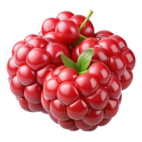 3D Render of Red Raspberries png